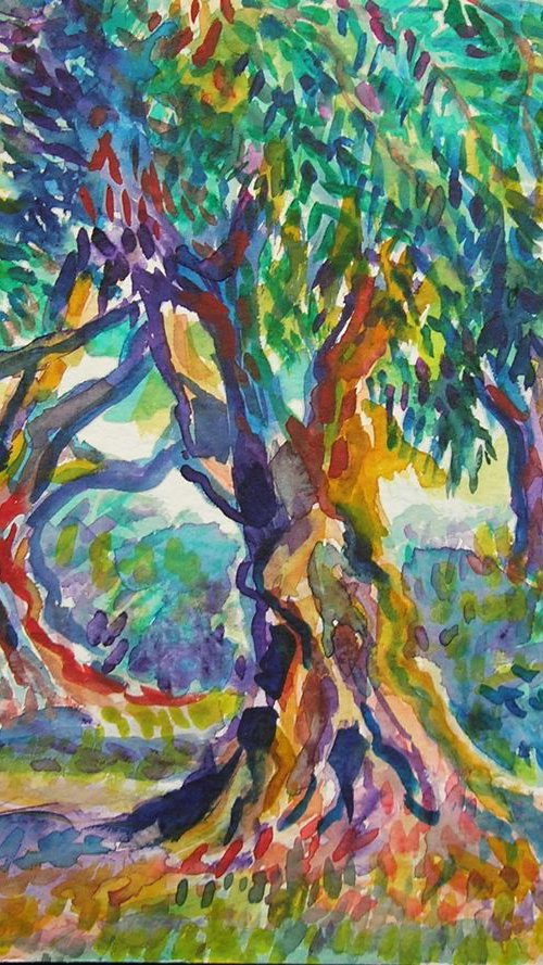 Old olive orchard II by Maja Grecic