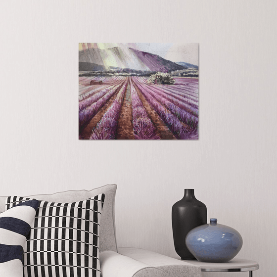 Lavender field. Landscape of France.