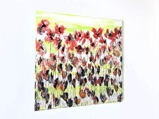 Poppy Flowers 2