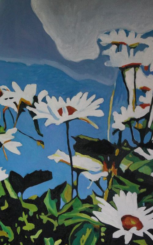 Oxeye Daisies by Emma Cownie