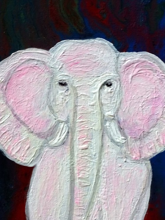 Baby pink elephant