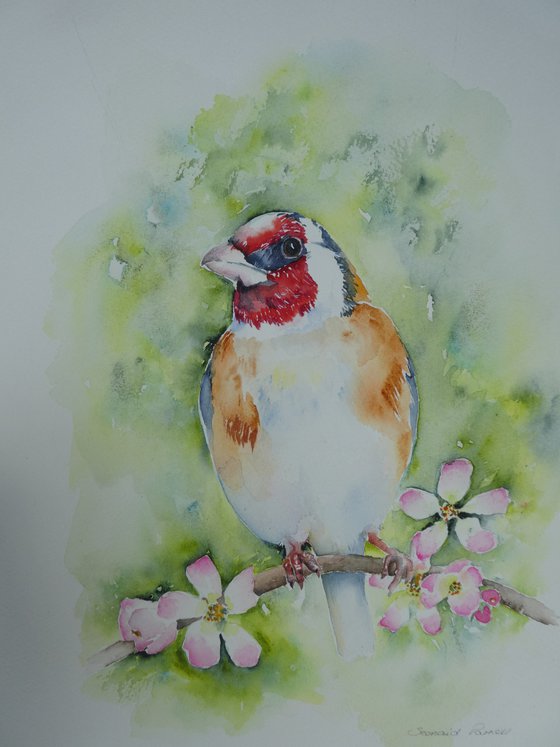 Goldfinch and Apple Blossom