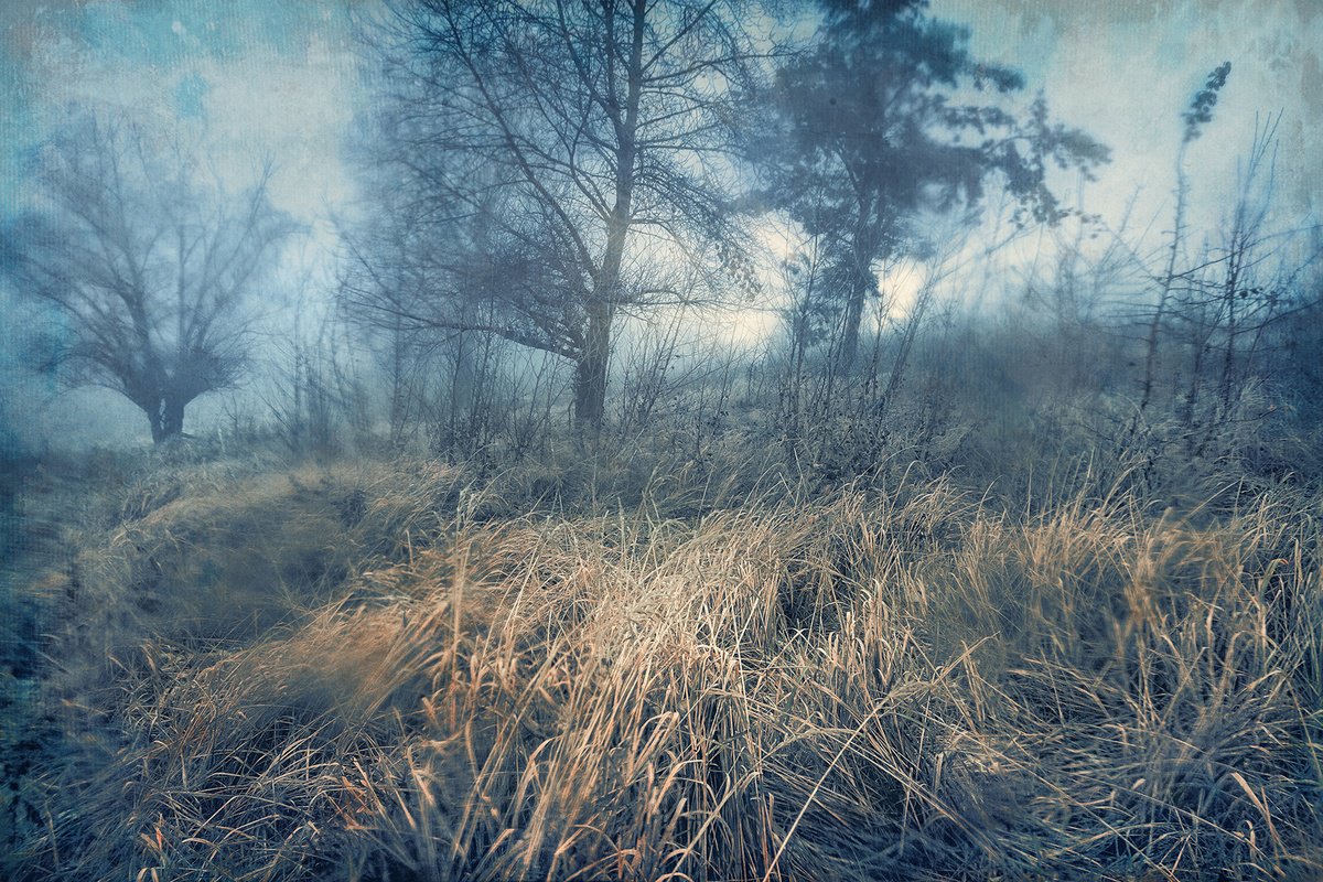 Photorealistic Landscape Photograph By Valerix, 24 X 16", Misty Tears., Original Artwork