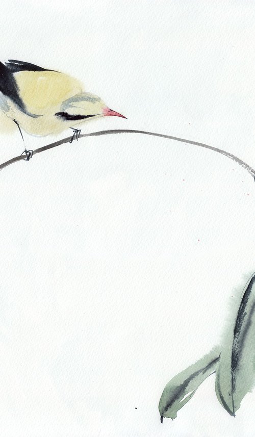 Bird CCXLXI - Golden Oriole by REME Jr.