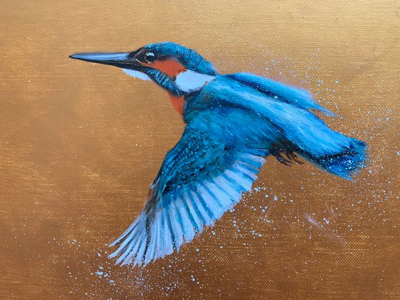 Flight Of The Kingfisher II