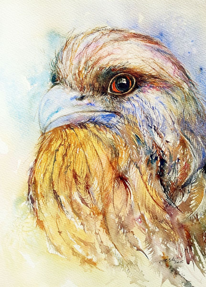 Tawny Frogmouth by Arti Chauhan