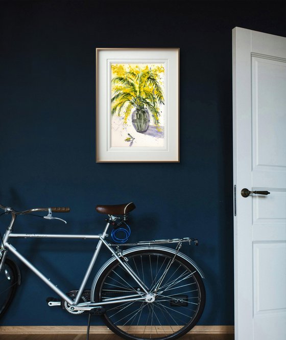 Mimosa branch Acacia Dealbata