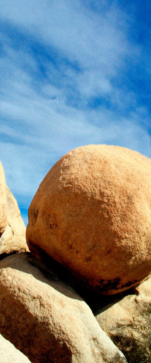 ROCK ON Joshua Tree National Park by William Dey