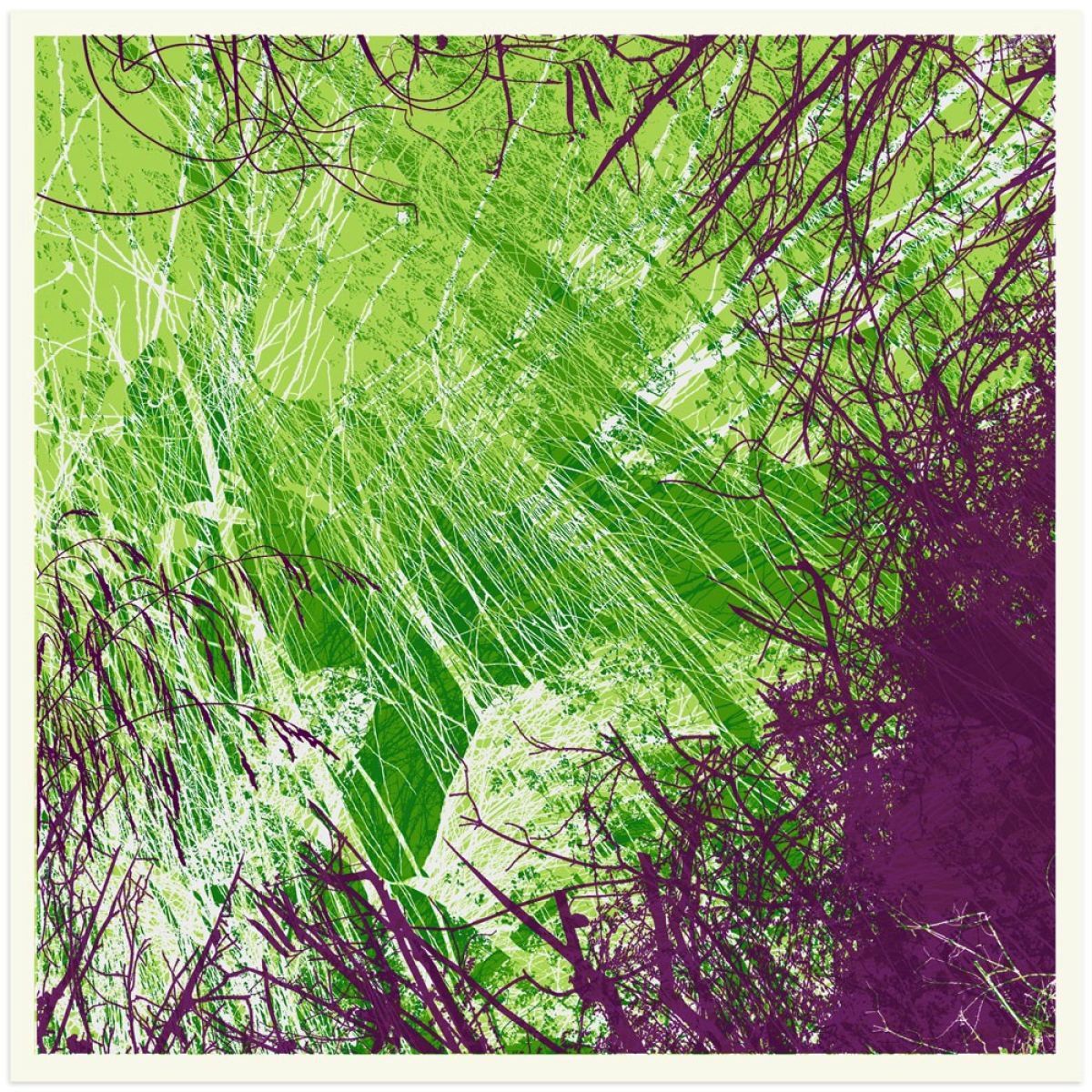 Green Tree Purple by Chris Keegan