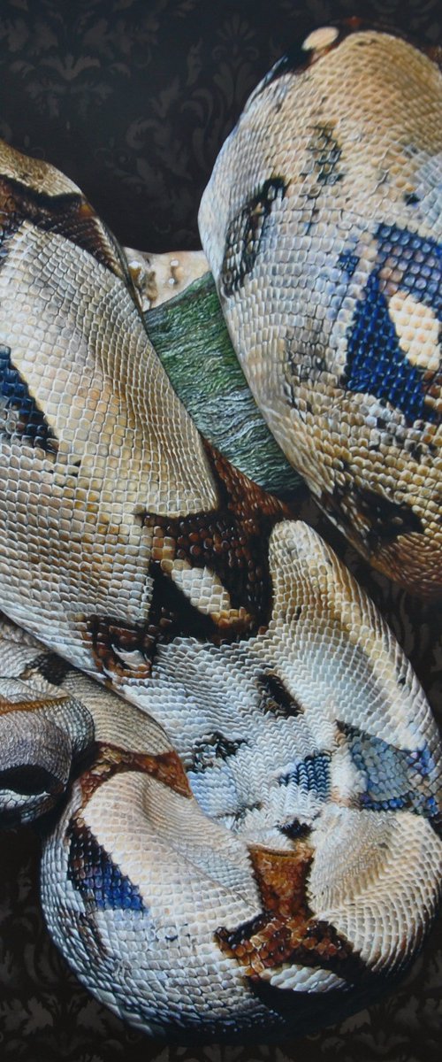 Eva by Claudia Daminato