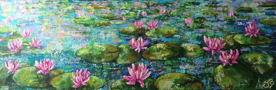 Water Lillies no2