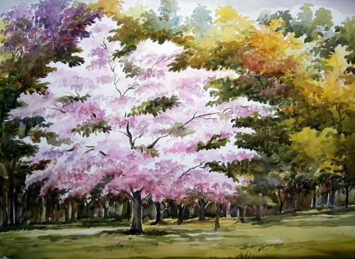 Beauty Season Forest - Watercolor Painting by Samiran Sarkar