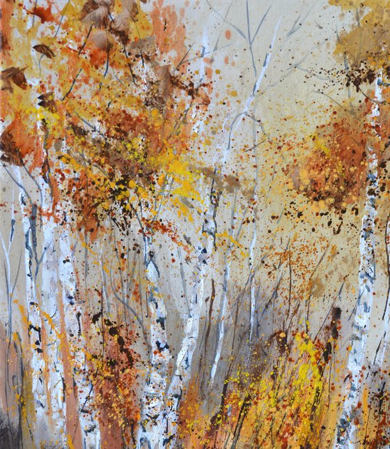 Aspen trees 5624