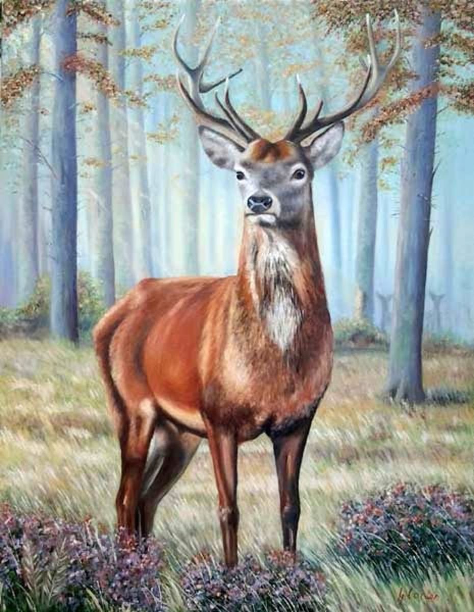 The Stag (2015) Oil painting by Gillian Coates Artfinder