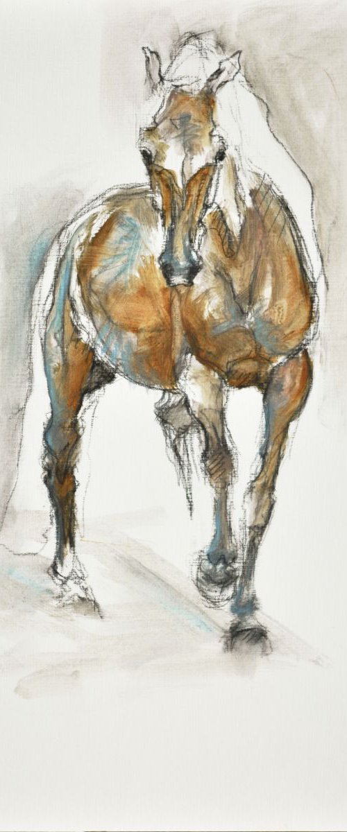 Equine Life 2 by Benedicte Gele
