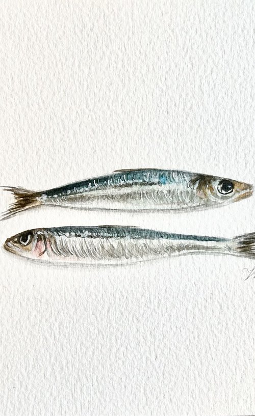 Small sardines by Amelia Taylor