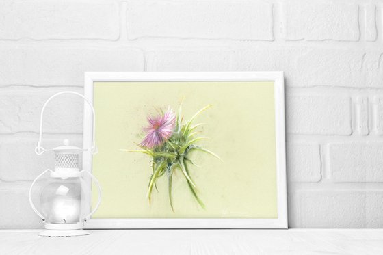 Thistle (soft pastel)