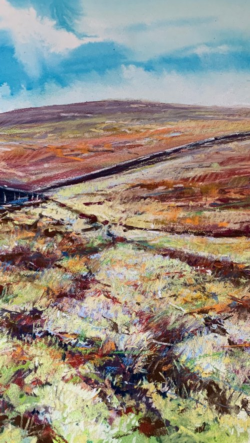 Moorland Colour by Andrew Moodie