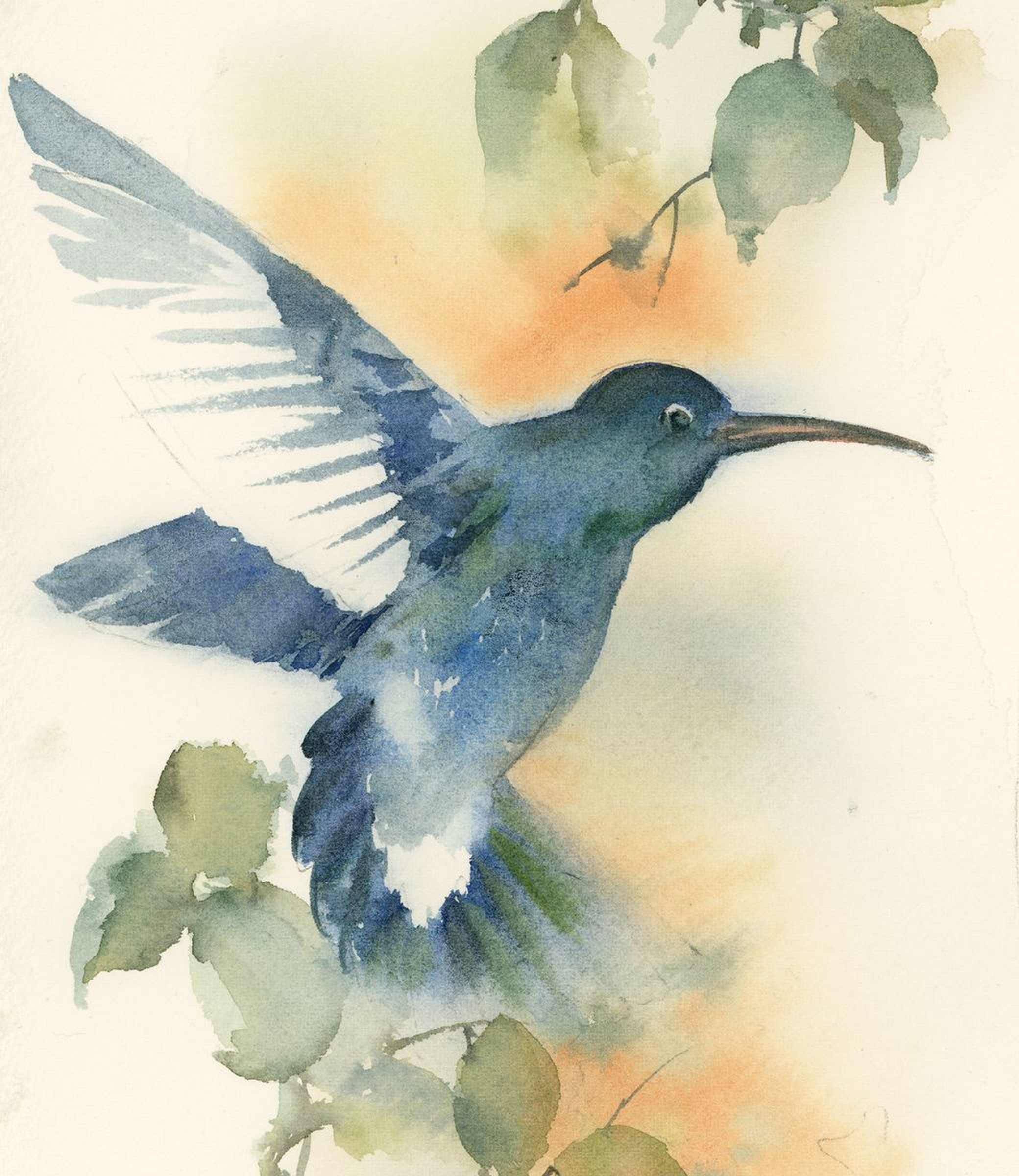 Blue Hummingbird Watercolour By Sophie Rodionov Artfinder