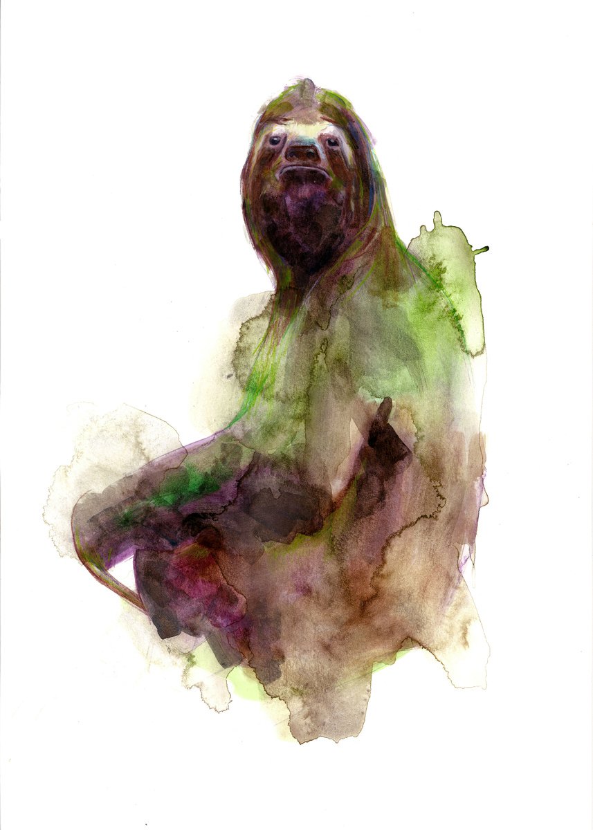 Sloth by Gavin Dobson