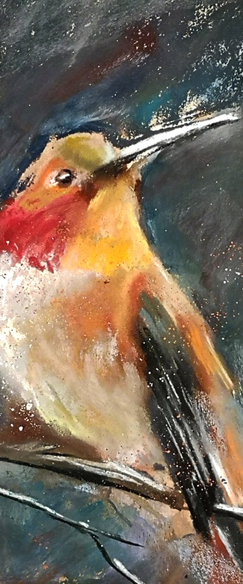 Hummingbird on the branch by Olga Tchefranov (Shefranov)