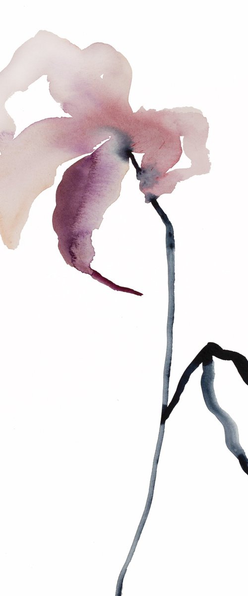 Lily No. 8 by Elizabeth Becker