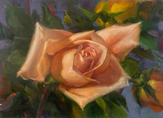 Peach Rose Original Oil Painting