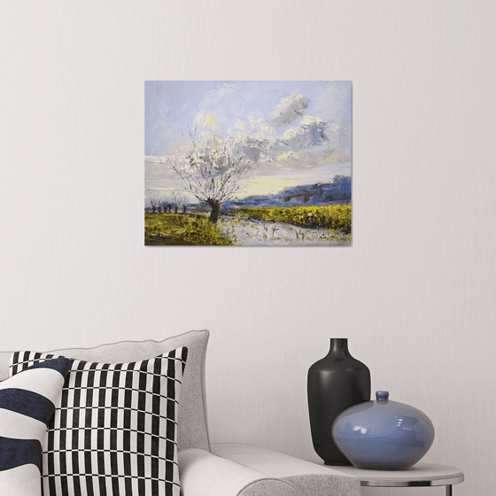 Buddy