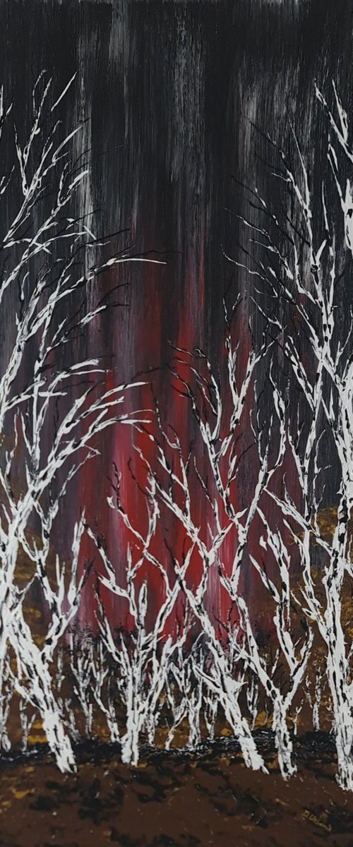 Birches In Winter 1 by Daniel Urbaník