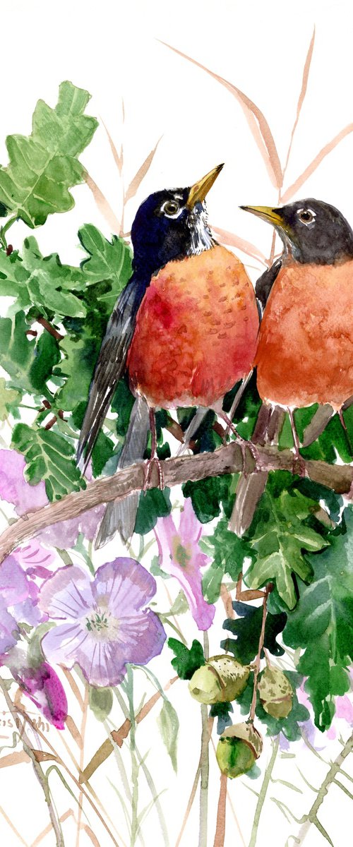 American Robin Birds on the Oak Tree by Suren Nersisyan
