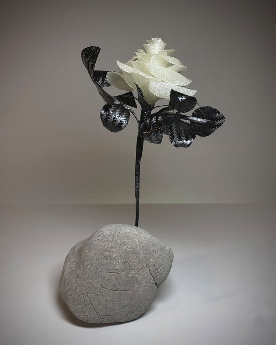 Perseverance finds a way