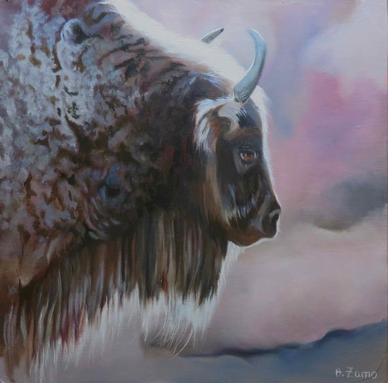 Bison Portrait