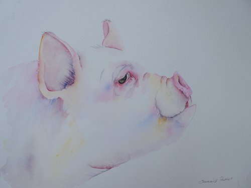 Just a Pig by Seonaid Parnell