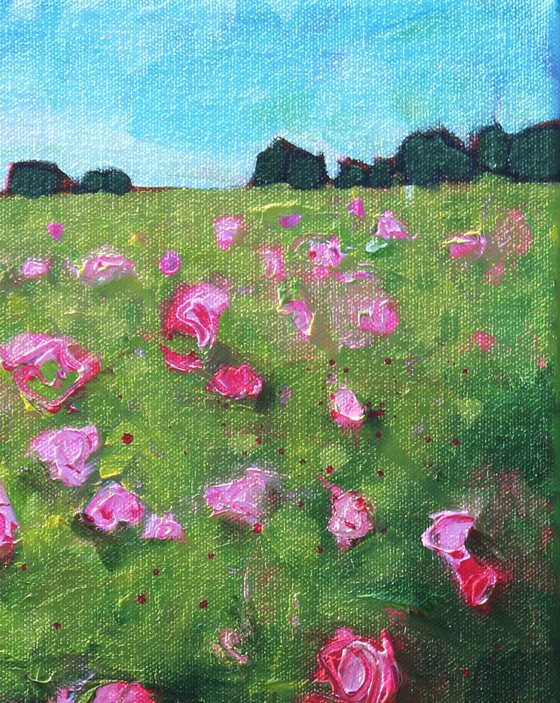 Wild Roses