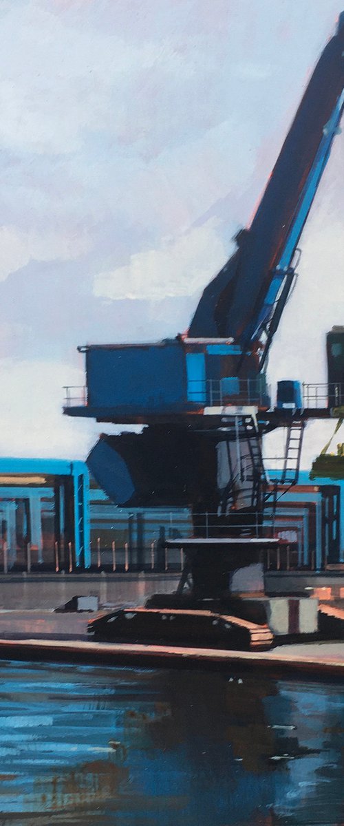 Blue Crane by Andrew Morris