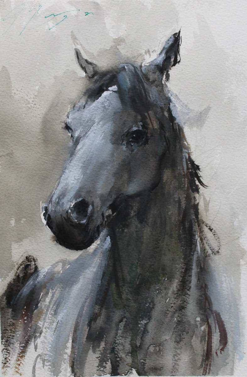 Impressionistic Animal Watercolour By Maximo Damico, 8 X 11", Grey Portrait, Original Artwork