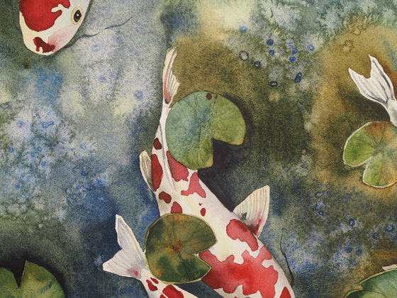 Koi fish and water lilies