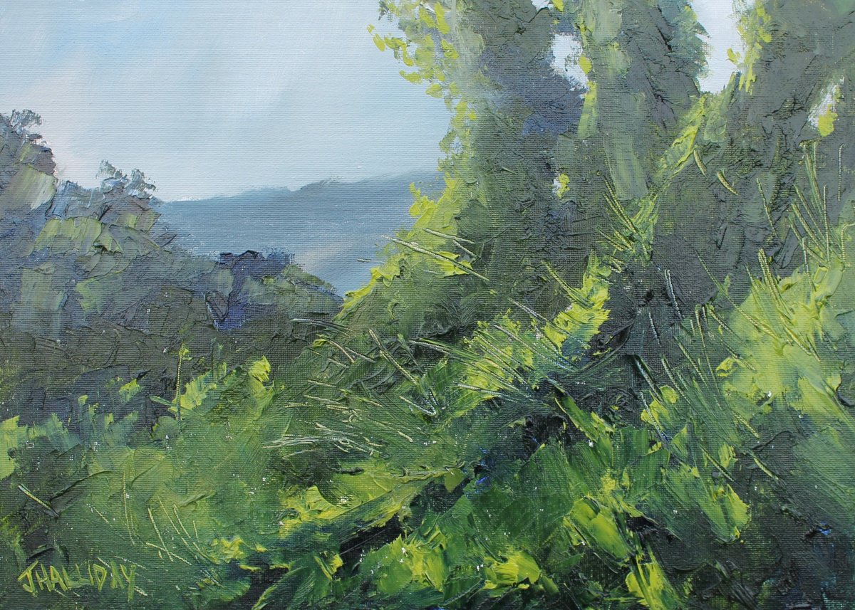 Impressionistic Landscape Oil Painting By John Halliday, 14 X 10, Through The Undergrowth, Original Artwork