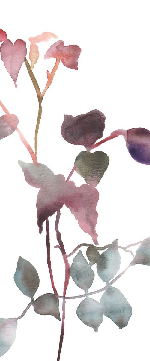 Rose Study No. 25 by Elizabeth Becker
