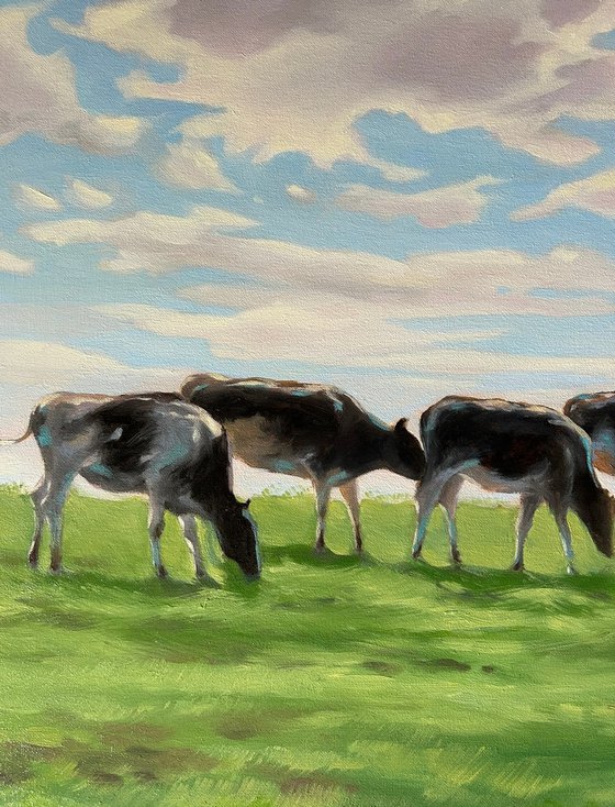 Cows in a field