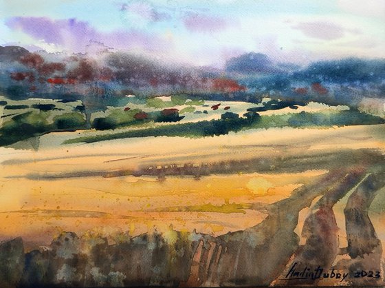 Ukrainian fields