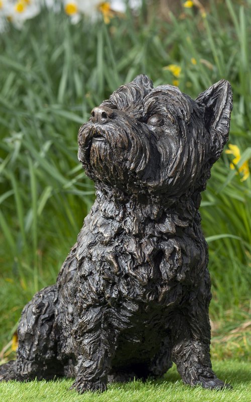 West Highland Terrier BR by Tanya Russell
