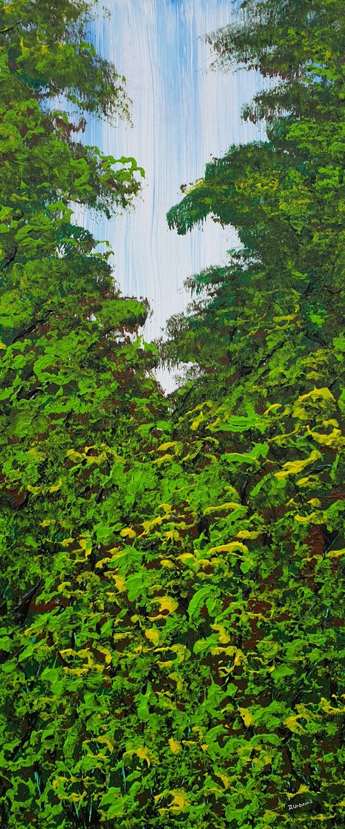 Nice Forest by Daniel Urbaník
