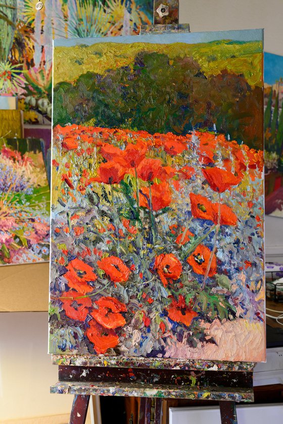 Alpine Poppies