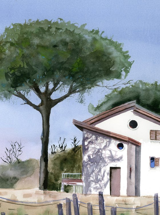 Captivating Italy: Stone Pine And White Small Houses