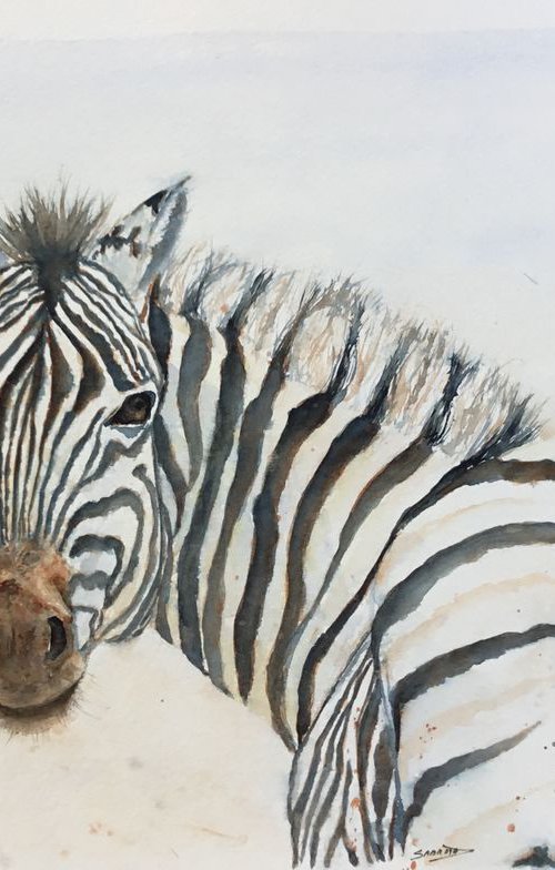 Zebra 2 by Sabrina’s Art