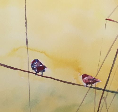 Bird on a wire by Bronwen Jones