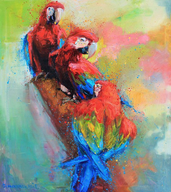 Red parrots"