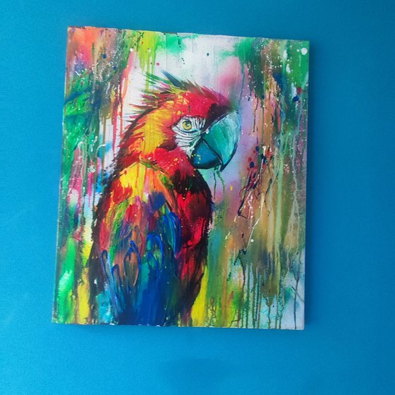 Parrot