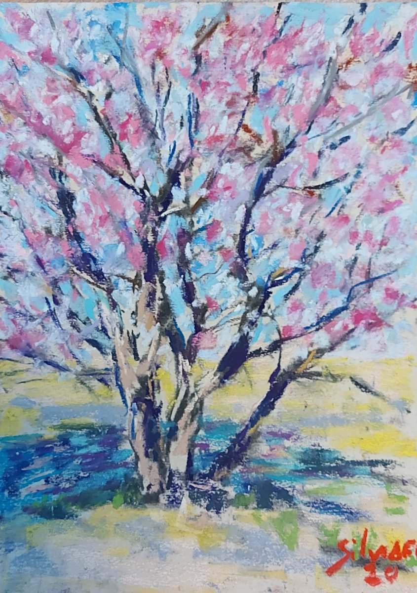 Tree in blossom by Silvia Flores Vitiello